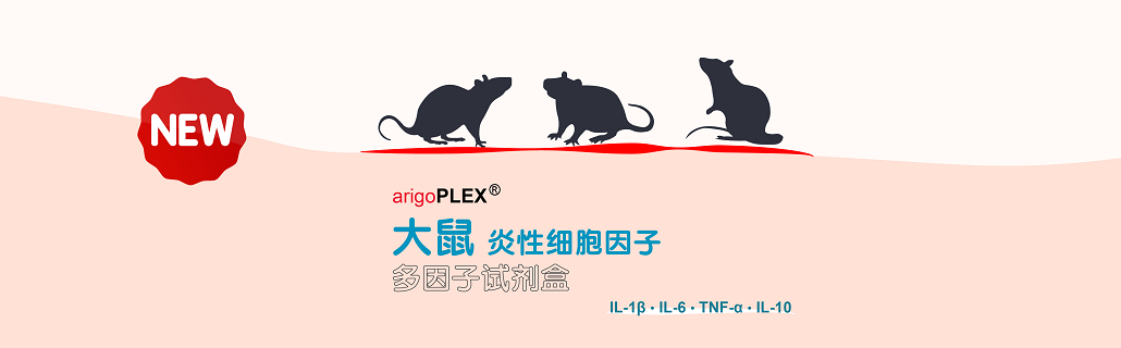 Rat Inflammatory Cytokine Multiplex ELISA Kit (CN)