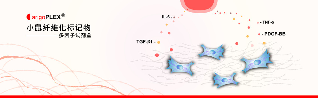 Mouse Fibrotic Marker Multiplex ELISA Kit_cn