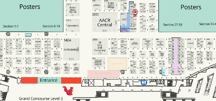 2025 AACR