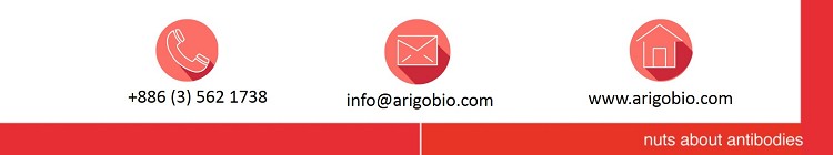 arigo Foot
